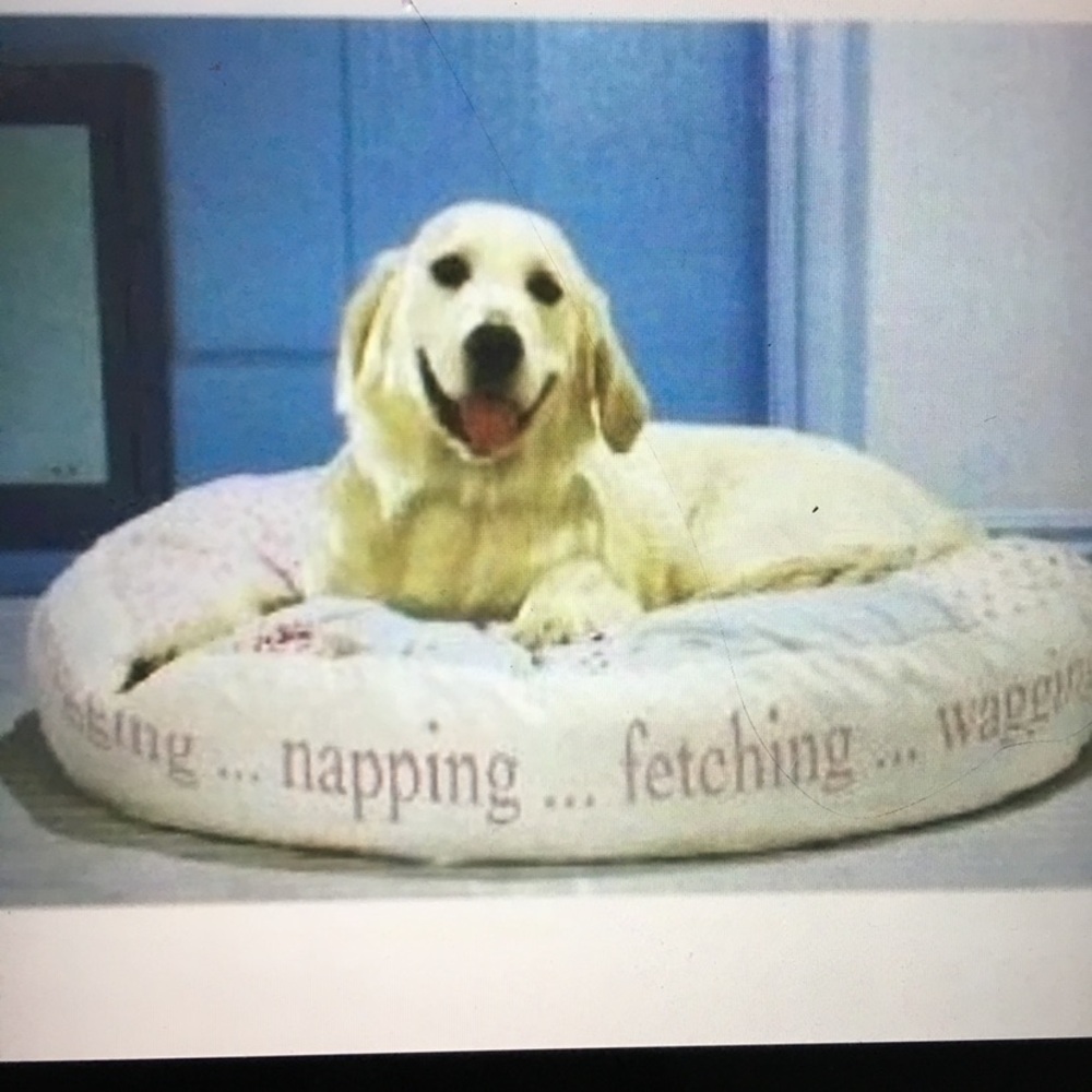 Rachel Ashwell Cozy Cream Vintage Dog Bed. Beautiful light  colors!